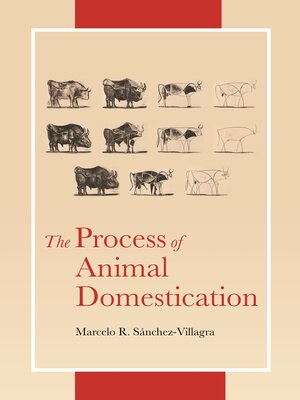 cover image of The Process of Animal Domestication